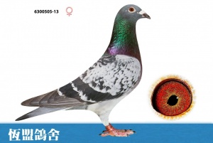 6300505-13 ♀