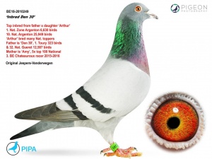 BE 18-2010249