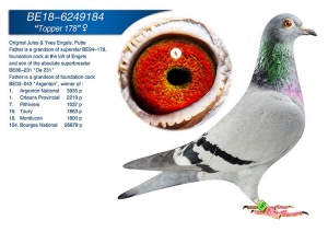 BE 18-6249184 ♀