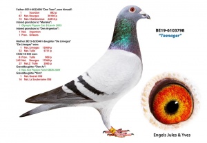 BE 19-6103798 ♀