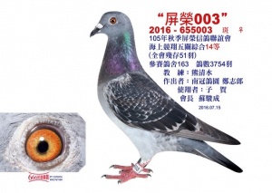 2016-655003 ♀