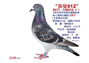 2017-130012 ♀