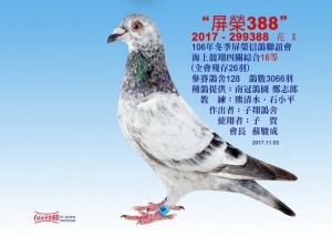 2017-299388 ♂