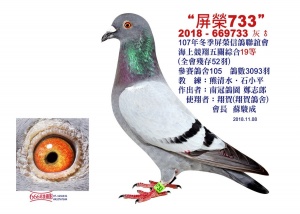 2018-669733 ♂