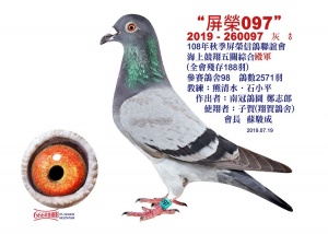 2019-260097 ♂
