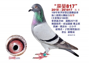 2019-261817 ♂