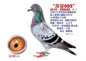 2019-299095 ♂