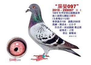 2019-299097 ♂
