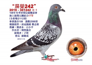 2019-301242 ♀