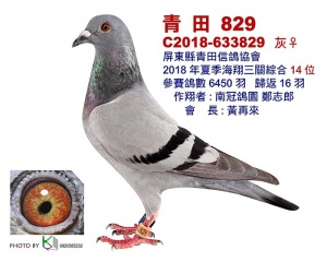 C2018-633829 ♀