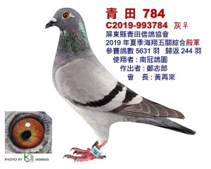 C2019-993784 ♀