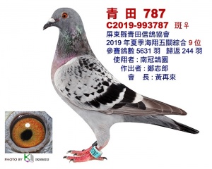 C2019-993787 ♀