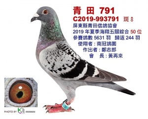 C2019-993791 ♂