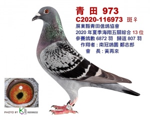 C2020-116973 ♀