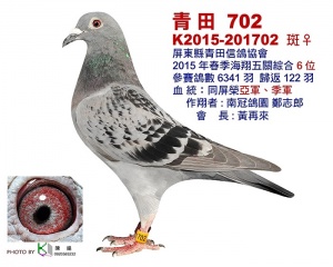 K2015-201702 ♀