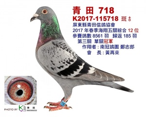 K2017-115718 ♂