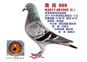 K2017-281005 ♂
