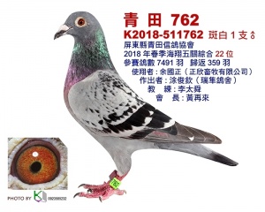 K2018-511762 ♂