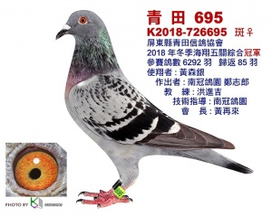 K2018-726695 ♀