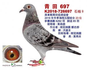 K2018-726697 ♀