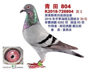 K2018-726804 ♂