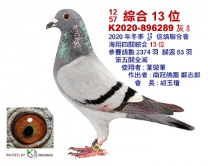 K2020-896289 ♂