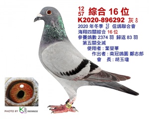 K2020-896292 ♂