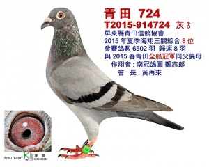 T2015-914724 ♂