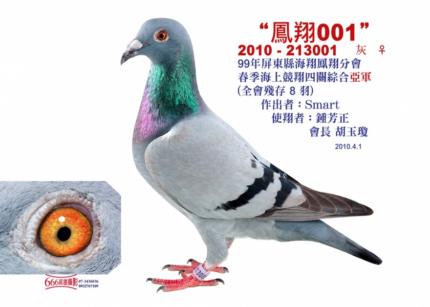 點擊觀看原圖