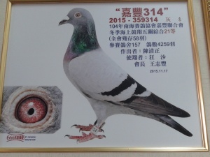 2015-359314 ♂