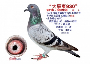 2018-686930 ♀