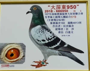 2018-686950 ♂