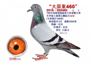 2019-305460 ♀