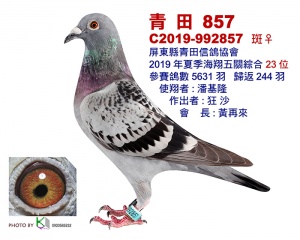 2019-992857 ♀