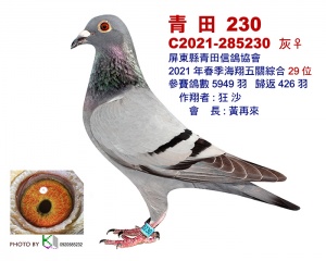 2021-285230 ♀