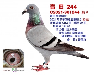 2021-901244 ♀