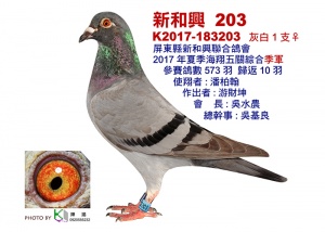 K2017-183203 ♀