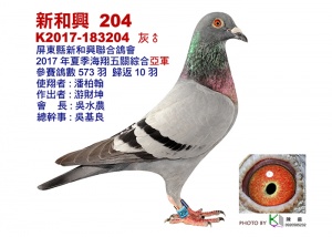 K2017-183204 ♂