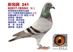 K2017-183241 ♂