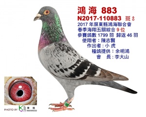 N2017-110883 ♂