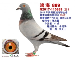 N2017-110889 ♂