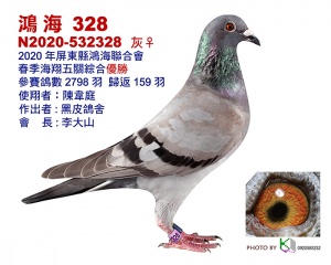 N2020-532328 ♀