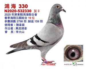 N2020-532330 ♀