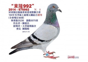 2014-676992 ♂