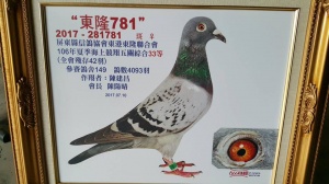 2017-281781 ♂
