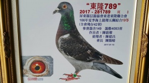 2017-281789 ♂