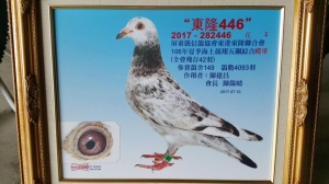 2017-282446 ♀