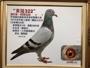 2018-636322 ♂