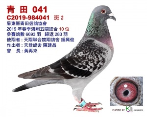 C2019-984041 ♂