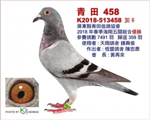 K2018-513458 ♀